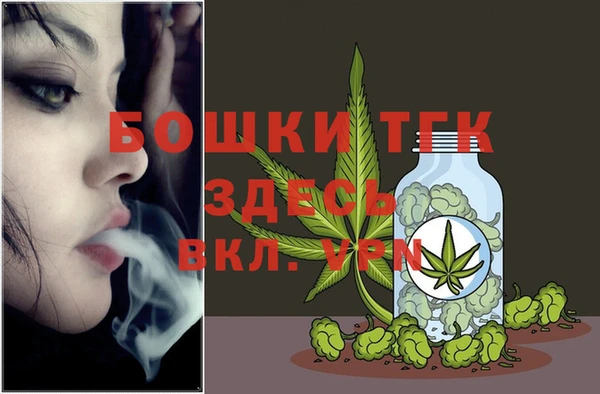 дурь Пестово